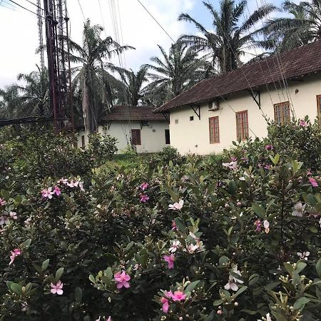 Palm Garden House Hotel Quang Tri Kültér fotó