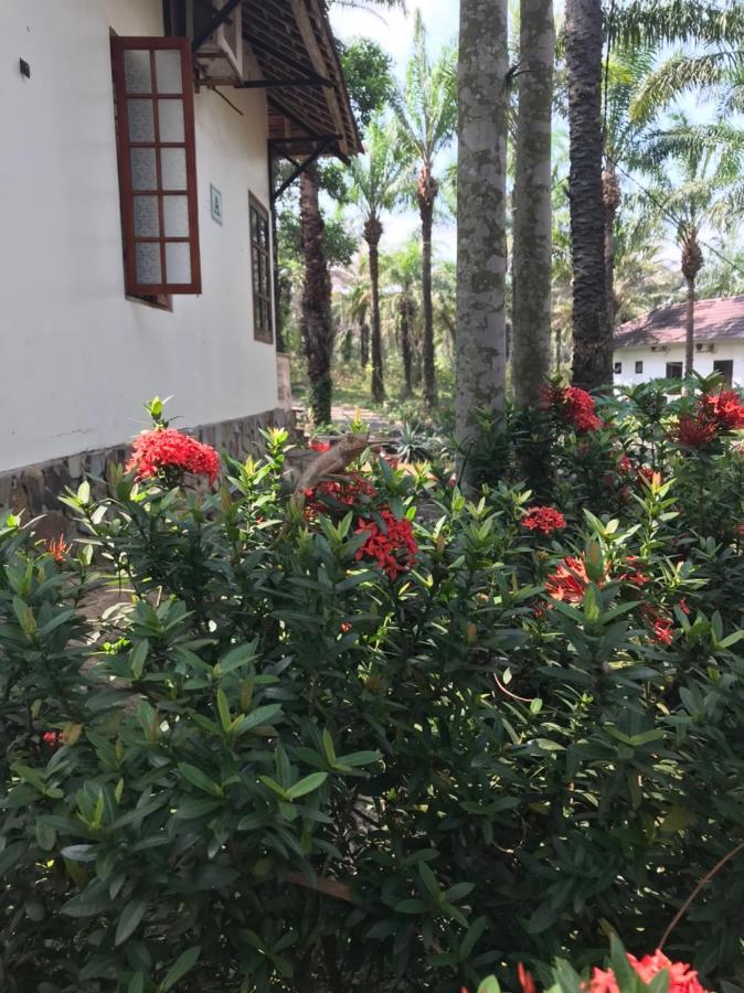 Palm Garden House Hotel Quang Tri Kültér fotó
