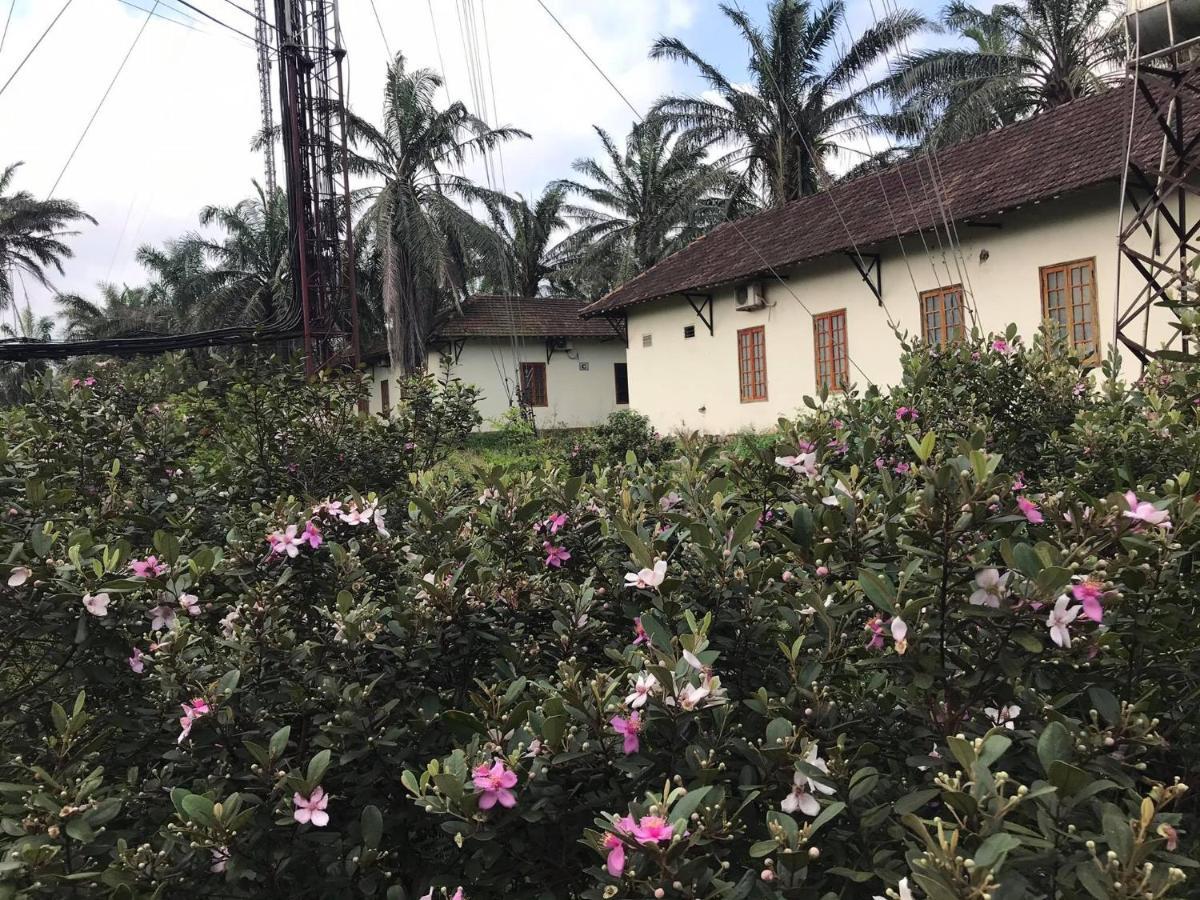 Palm Garden House Hotel Quang Tri Kültér fotó