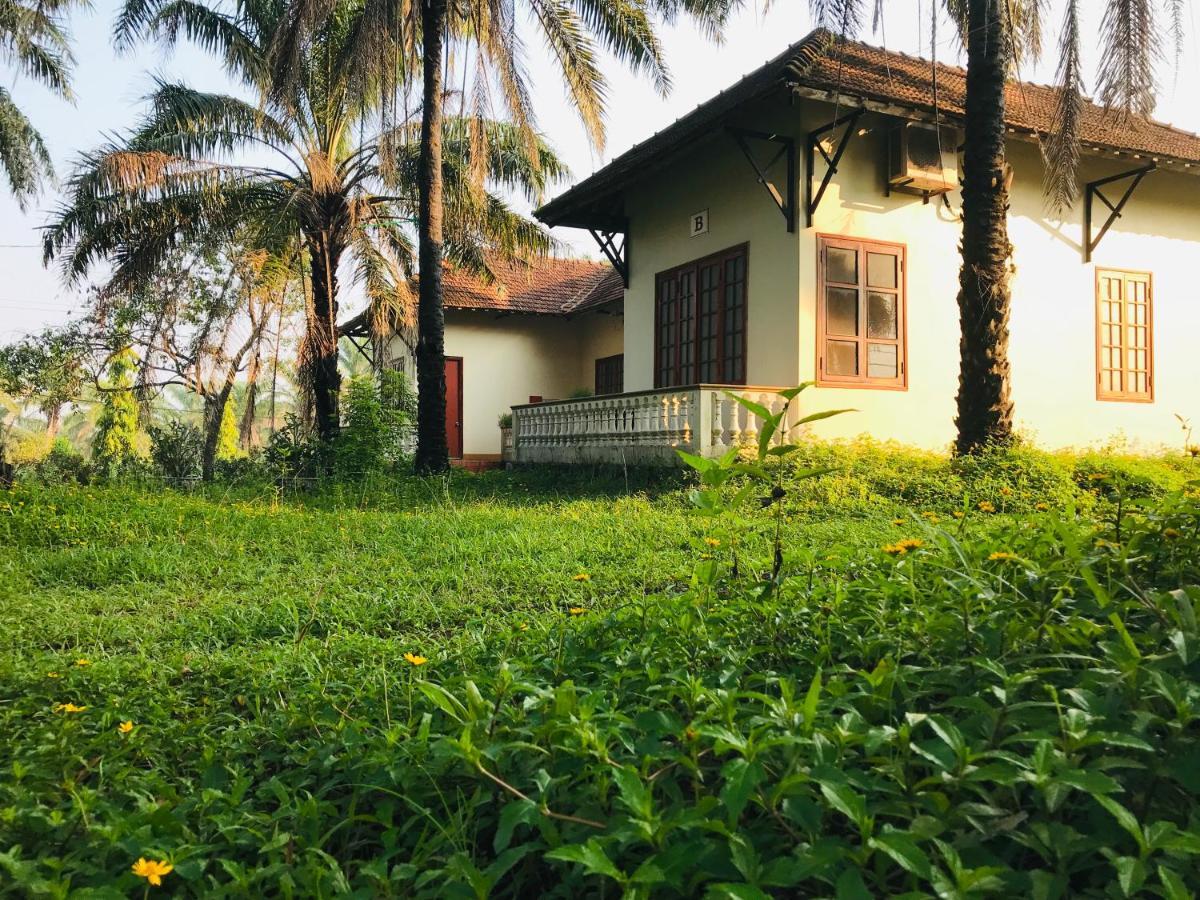 Palm Garden House Hotel Quang Tri Kültér fotó